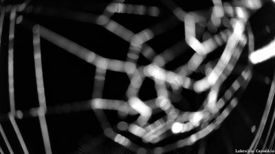 immagine della webcam nei dintorni di Maccagno: webcam Cannobio