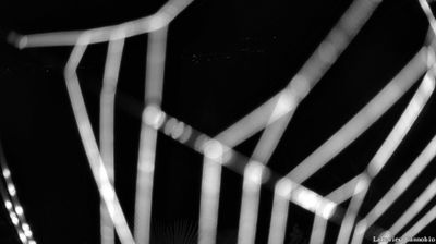 immagine della webcam nei dintorni di Malesco: webcam Cannobio