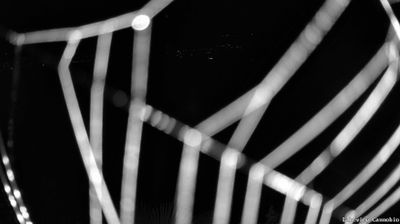 immagine della webcam nei dintorni di Crodo: webcam Cannobio