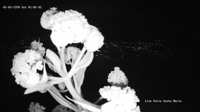 immagine della webcam nei dintorni di Ischitella Lido: webcam Lacco Ameno