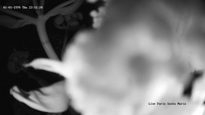 immagine della webcam nei dintorni di Isola di Procida: webcam Lacco Ameno