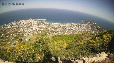 immagine della webcam nei dintorni di Forio: webcam Lacco Ameno
