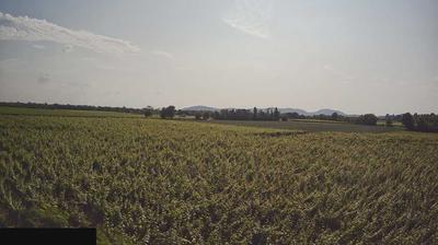 immagine della webcam nei dintorni di Brescia: webcam Paderno Franciacorta
