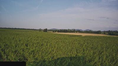 immagine della webcam nei dintorni di Tavernola Bergamasca: webcam Paderno Franciacorta