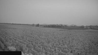 immagine della webcam nei dintorni di Predore: webcam Paderno Franciacorta