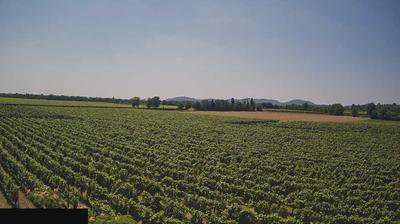immagine della webcam nei dintorni di Iseo: webcam Paderno Franciacorta