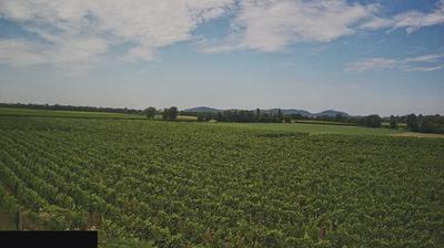 immagine della webcam nei dintorni di Collebeato: webcam Paderno Franciacorta