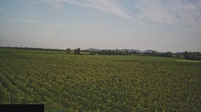 immagine della webcam nei dintorni di Brescia: webcam Paderno Franciacorta