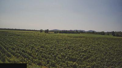 immagine della webcam nei dintorni di Tavernola Bergamasca: webcam Paderno Franciacorta
