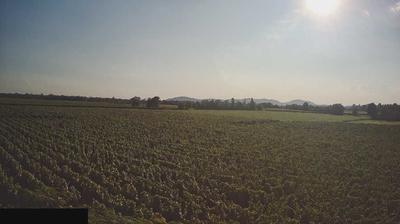 immagine della webcam nei dintorni di Sulzano: webcam Paderno Franciacorta