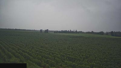 immagine della webcam nei dintorni di Predore: webcam Paderno Franciacorta