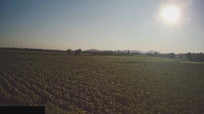 immagine della webcam nei dintorni di Iseo: webcam Paderno Franciacorta