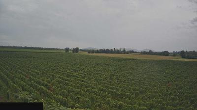 immagine della webcam nei dintorni di Collebeato: webcam Paderno Franciacorta