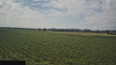 immagine della webcam nei dintorni di Casto: webcam Paderno Franciacorta