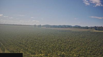 immagine della webcam nei dintorni di Brescia: webcam Paderno Franciacorta