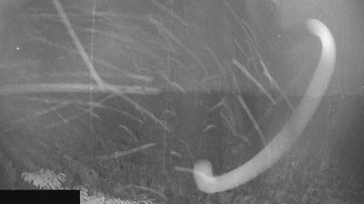 immagine della webcam nei dintorni di Tavernola Bergamasca: webcam Paderno Franciacorta