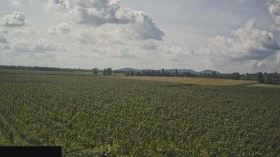 immagine della webcam nei dintorni di Sulzano: webcam Paderno Franciacorta