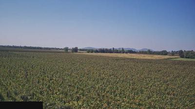 immagine della webcam nei dintorni di Monte Isola: webcam Paderno Franciacorta