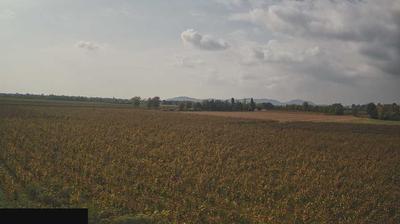 immagine della webcam nei dintorni di Brescia: webcam Paderno Franciacorta
