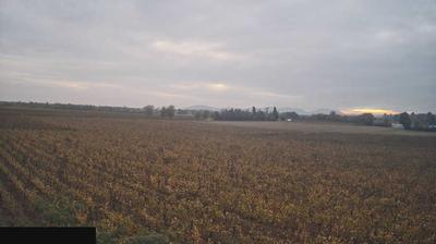 immagine della webcam nei dintorni di Sulzano: webcam Paderno Franciacorta