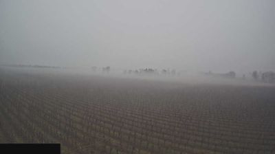 immagine della webcam nei dintorni di Predore: webcam Paderno Franciacorta