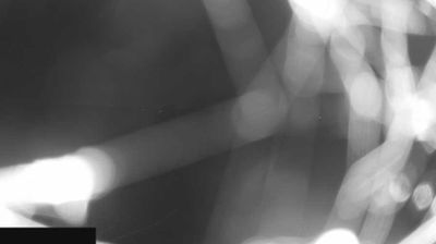 immagine della webcam nei dintorni di Brescia: webcam Paderno Franciacorta