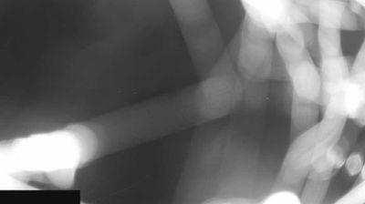 immagine della webcam nei dintorni di Cazzago San Martino: webcam Paderno Franciacorta