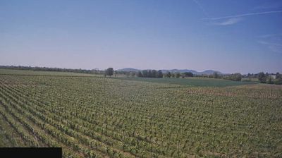 immagine della webcam nei dintorni di Cividate al Piano: webcam Paderno Franciacorta