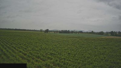 immagine della webcam nei dintorni di Cazzago San Martino: webcam Paderno Franciacorta