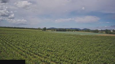 immagine della webcam nei dintorni di Polaveno: webcam Paderno Franciacorta