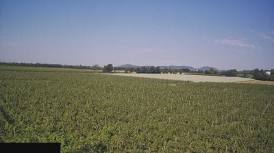 immagine della webcam nei dintorni di Passirano: webcam Paderno Franciacorta
