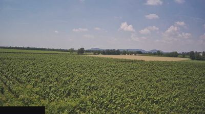 immagine della webcam nei dintorni di Cividate al Piano: webcam Paderno Franciacorta