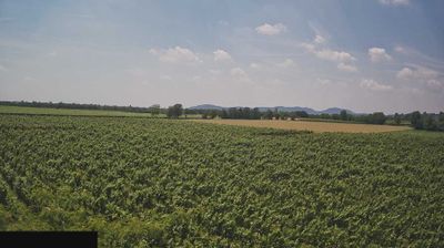 immagine della webcam nei dintorni di Madignano: webcam Paderno Franciacorta