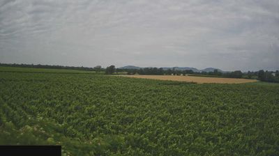 immagine della webcam nei dintorni di Brescia: webcam Paderno Franciacorta