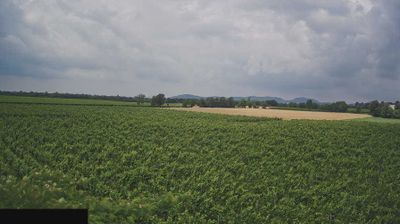 immagine della webcam nei dintorni di Brescia: webcam Paderno Franciacorta
