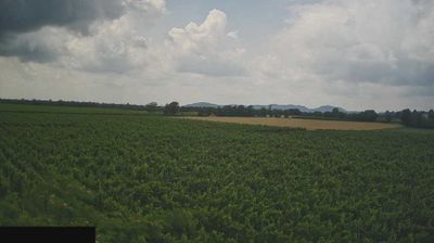 immagine della webcam nei dintorni di Sulzano: webcam Paderno Franciacorta