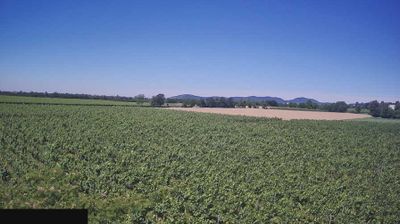 immagine della webcam nei dintorni di Brescia: webcam Paderno Franciacorta