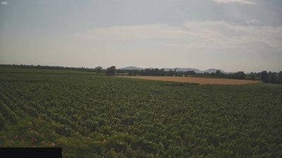 immagine della webcam nei dintorni di Polaveno: webcam Paderno Franciacorta
