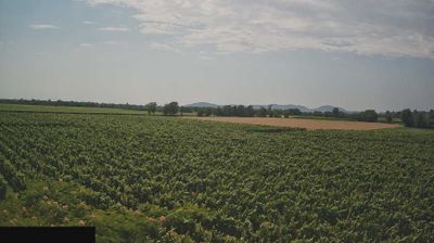 immagine della webcam nei dintorni di Predore: webcam Paderno Franciacorta