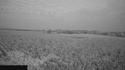 immagine della webcam nei dintorni di Brescia: webcam Paderno Franciacorta