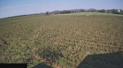 immagine della webcam nei dintorni di Cazzago San Martino: webcam Paderno Franciacorta
