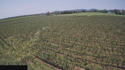 immagine della webcam nei dintorni di Cazzago San Martino: webcam Paderno Franciacorta