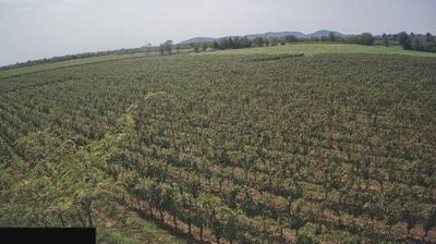 immagine della webcam nei dintorni di Cazzago San Martino: webcam Paderno Franciacorta
