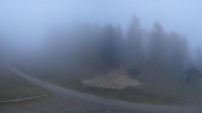 immagine della webcam nei dintorni di Passo Tonale: webcam Peio