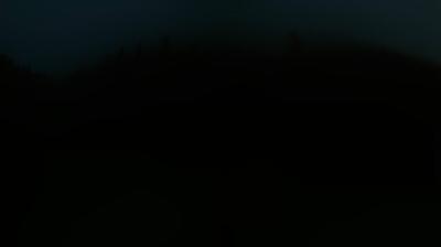 immagine della webcam nei dintorni di Rifugio Viviani: webcam Peio