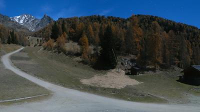 immagine della webcam nei dintorni di Monte Spinale: webcam Peio