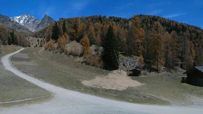 immagine della webcam nei dintorni di Campo Carlo Magno: webcam Peio