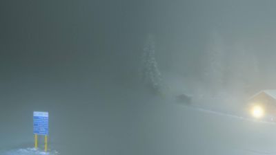 immagine della webcam nei dintorni di Dimaro Folgarida: webcam Peio