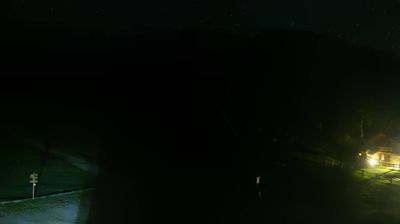 immagine della webcam nei dintorni di Passo Tonale: webcam Peio