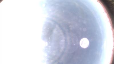 immagine della webcam nei dintorni di Asti: webcam Felizzano